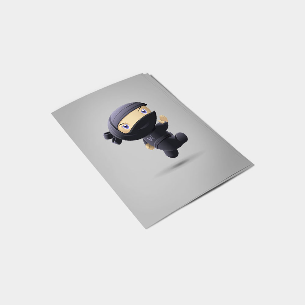 Flying Ninja database update complete. Thank you for updating to the latest version - Image 2